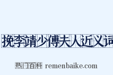 挽李靖少傅夫人近义词是什么意思的图片